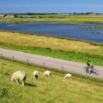 Discovering Texel Island: Nature, Biking, and Beach Escapes