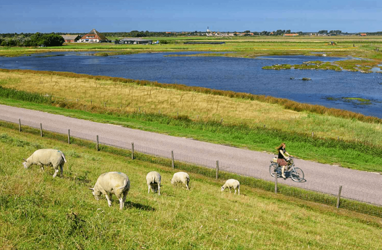 Discovering Texel Island: Nature, Biking, and Beach Escapes